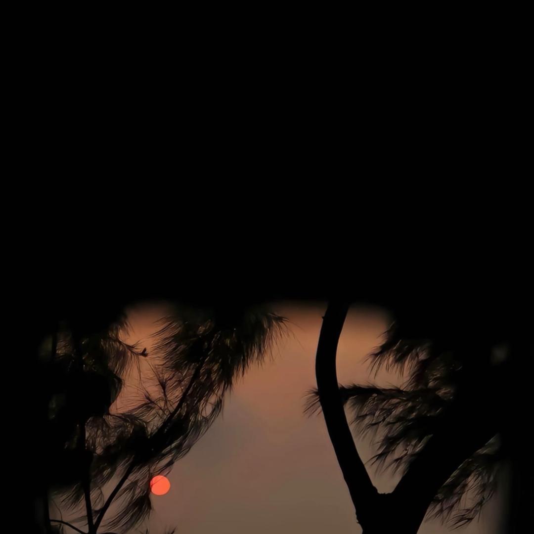 白月光会在身旁