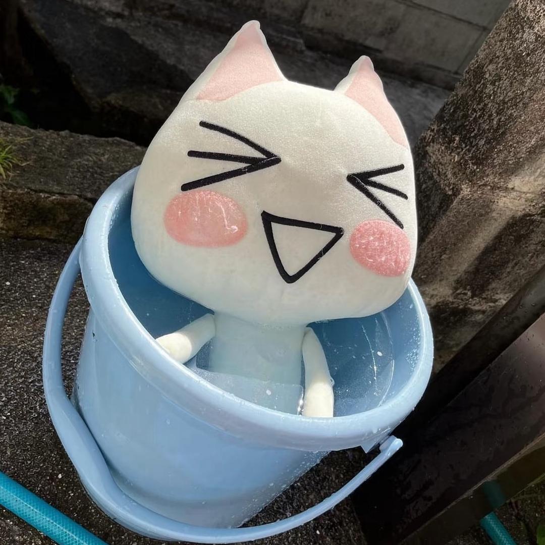 设计师Cc