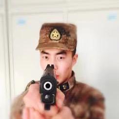 会潜水的猫