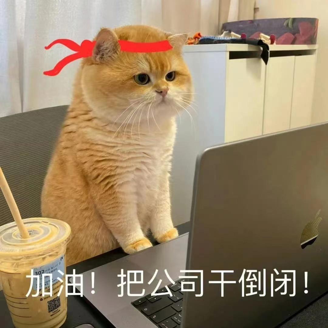 别胡说！