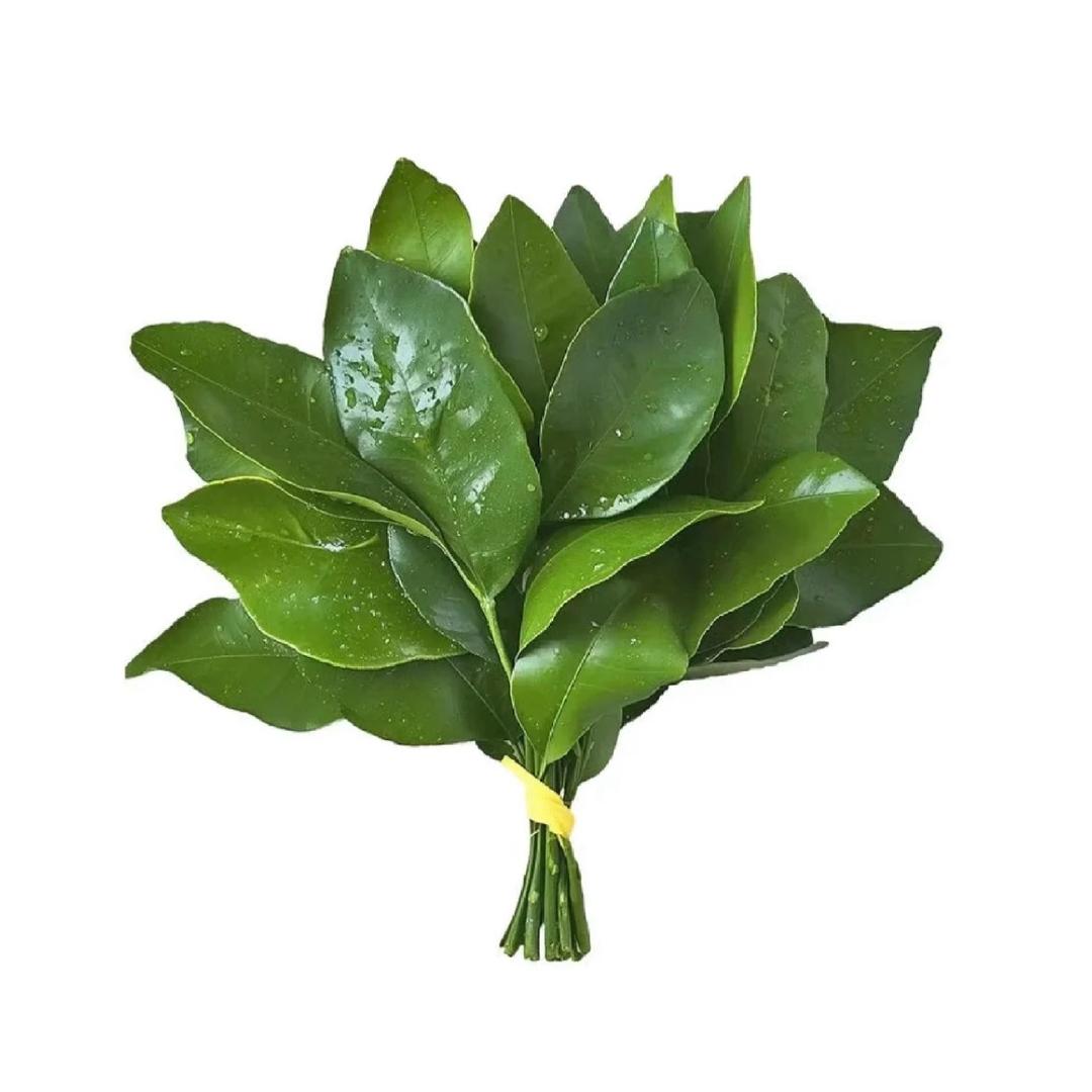 李可以