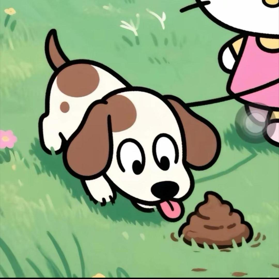 小杨的朋友圈📸