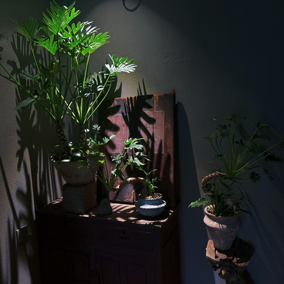 拾光禅庐