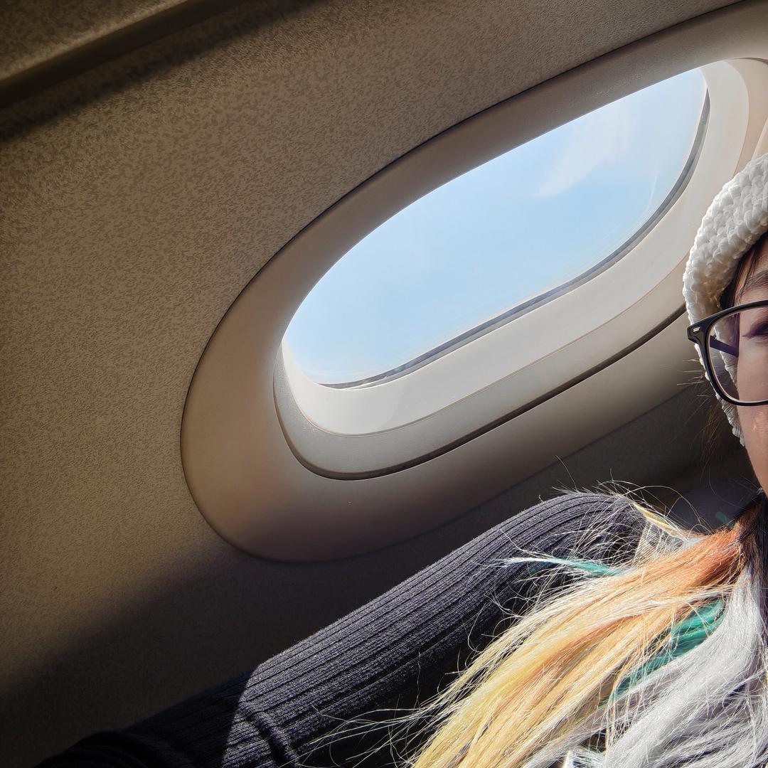 早日养只马尔济斯