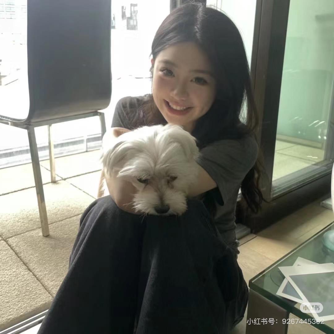 宸鹿ran的小小日记本