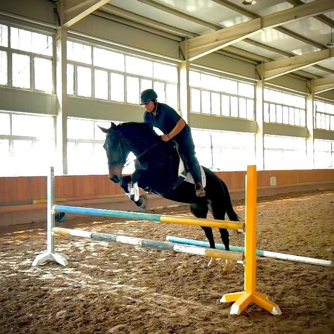 小张160（Grace boy）