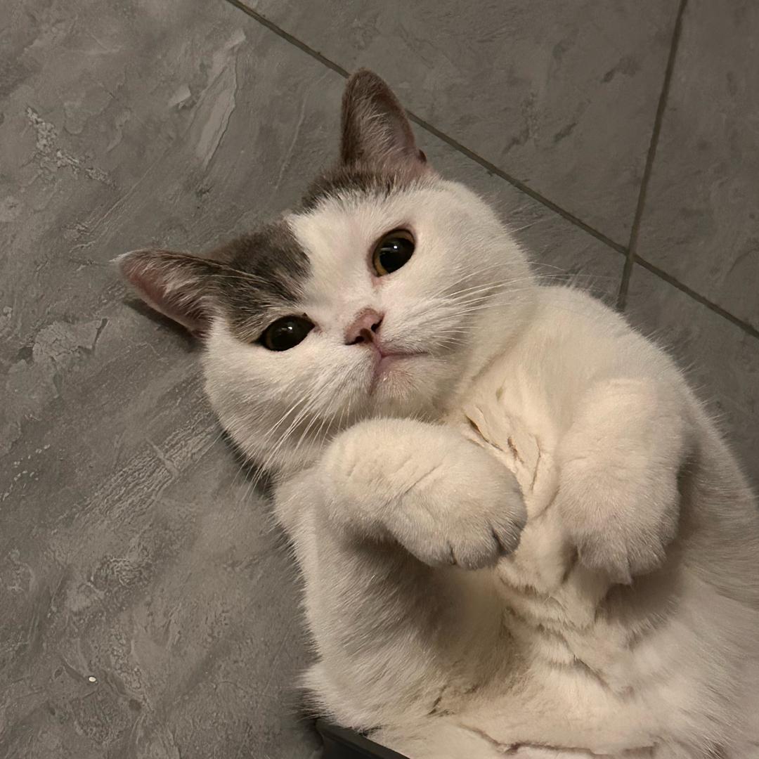 小7