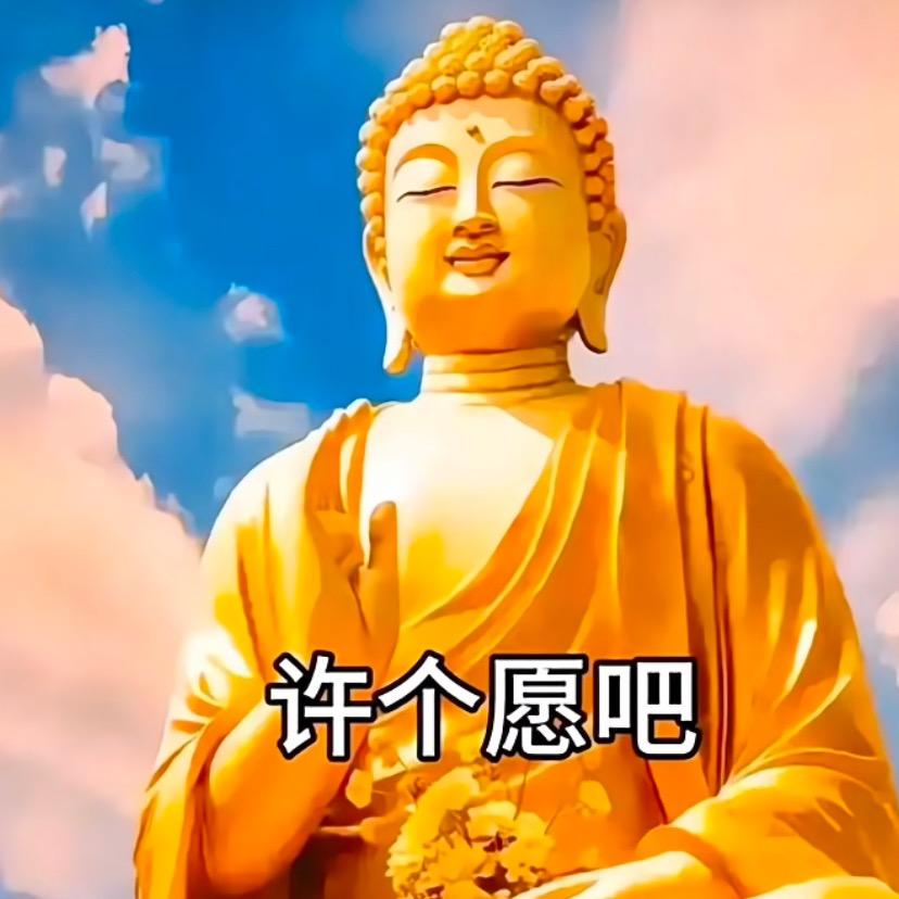 莲心静语