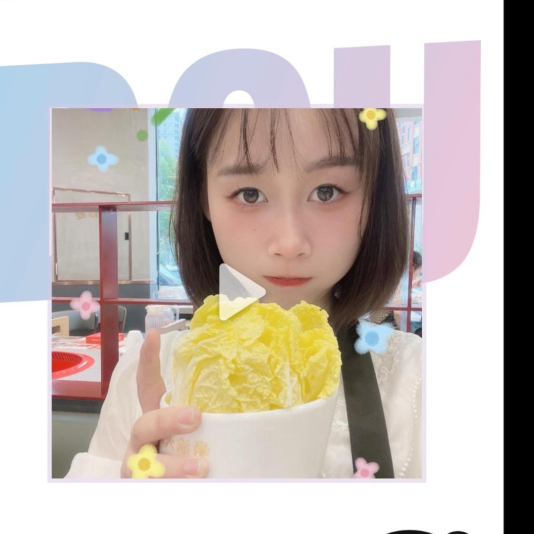 退伍糖糖韩系比熊
