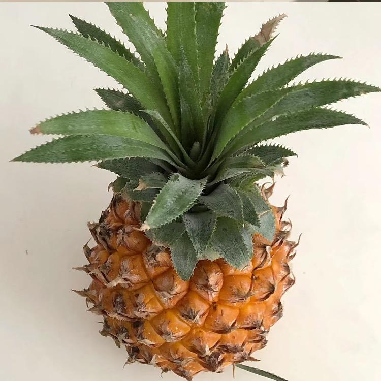 小刘不学设计