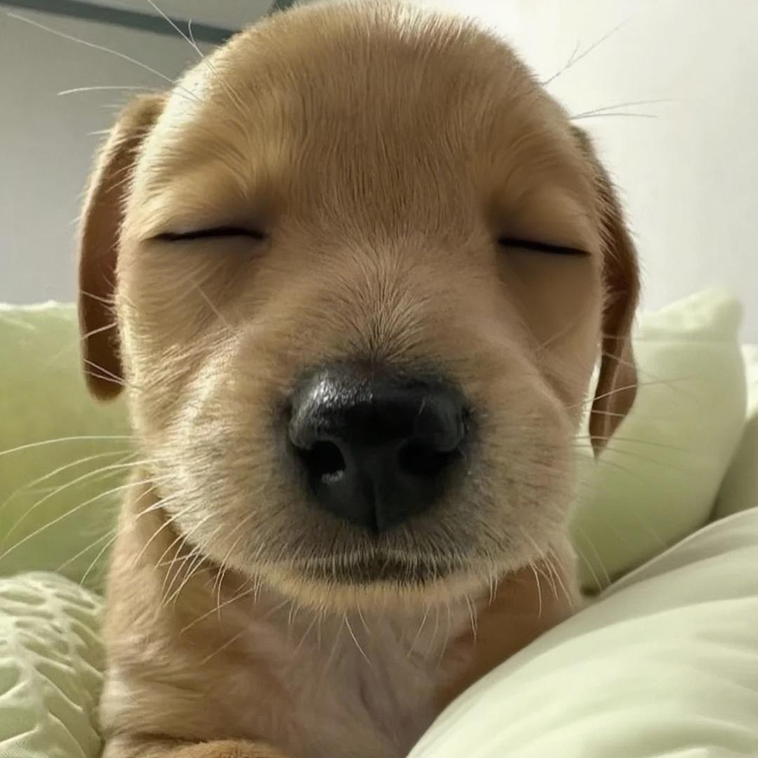不是你的圆圆