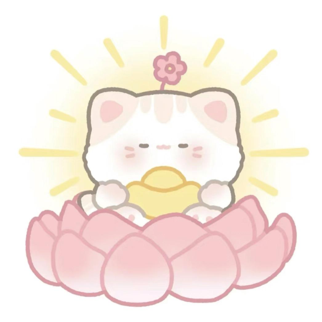 不想多说💤