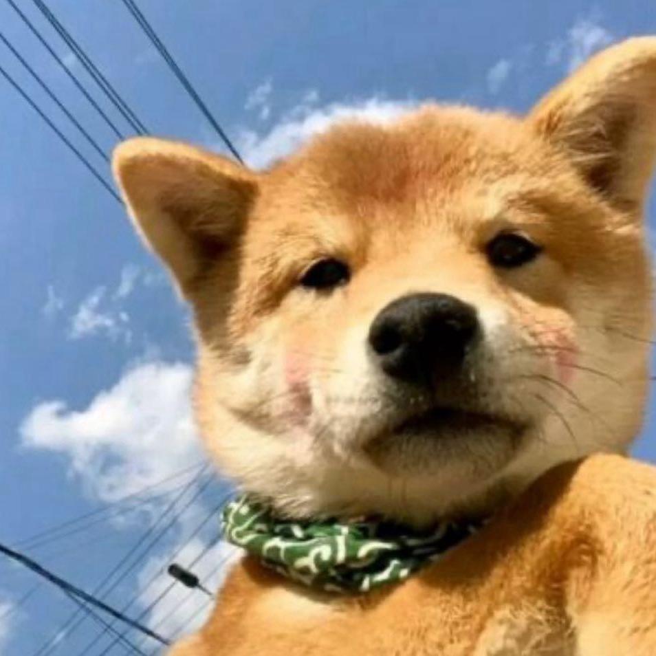 洪七公