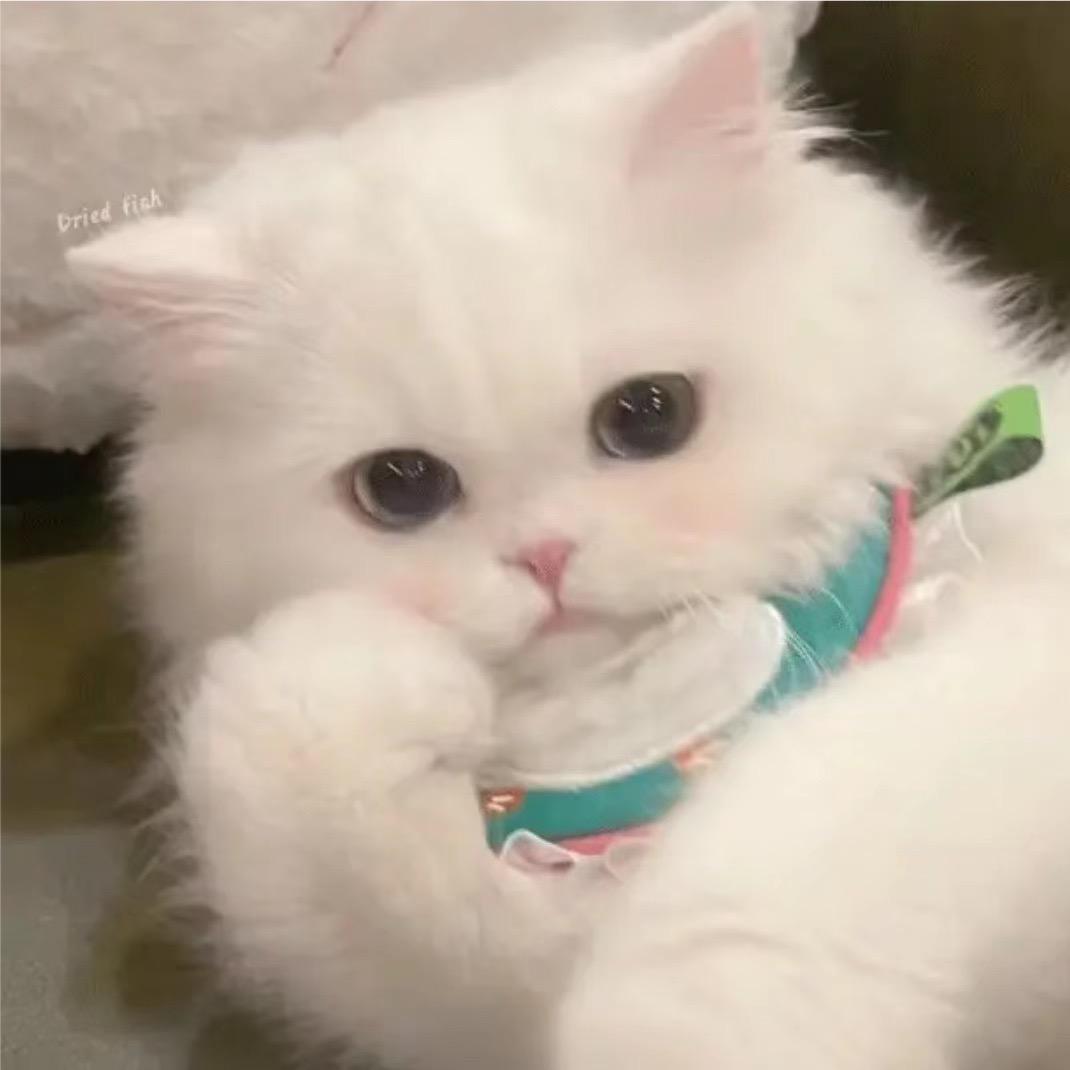 如果可以