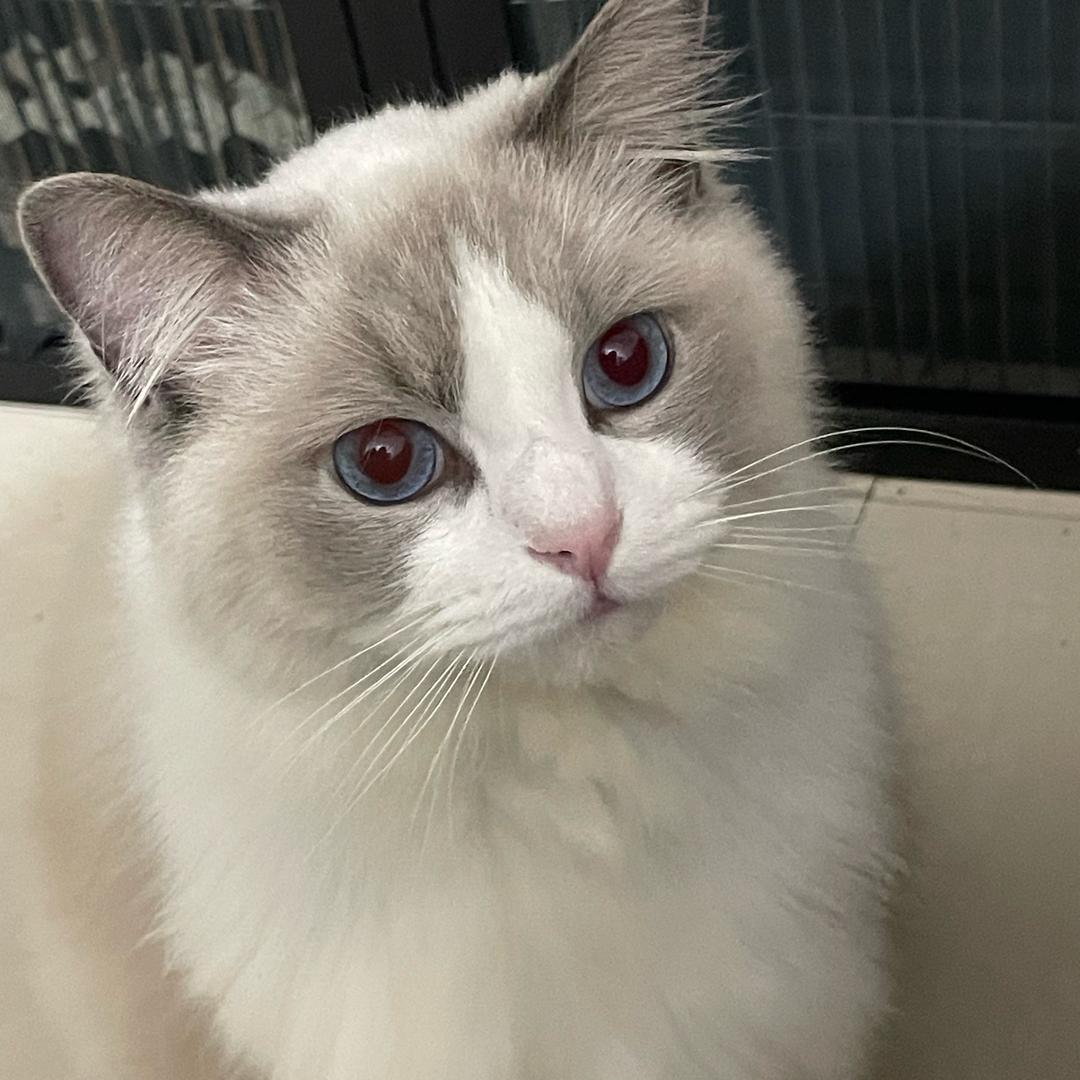 顺手牵圆🌸