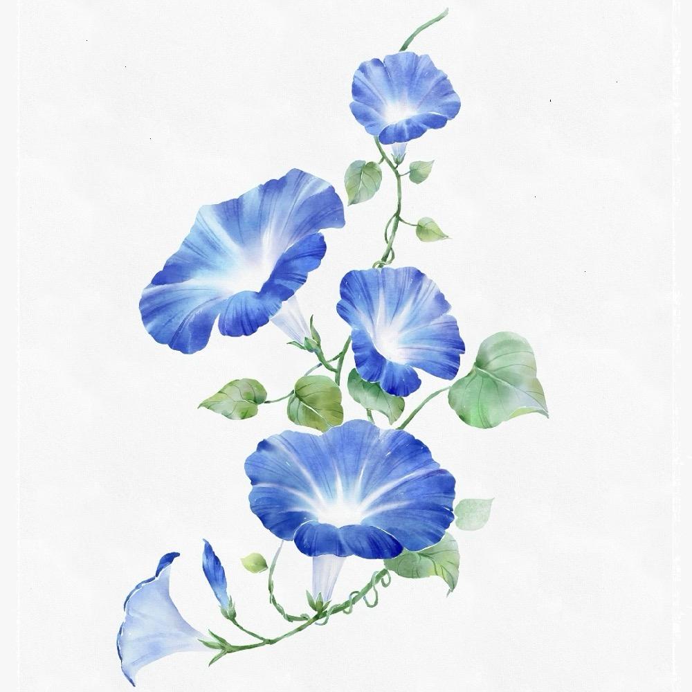 ℱ·瑞僖