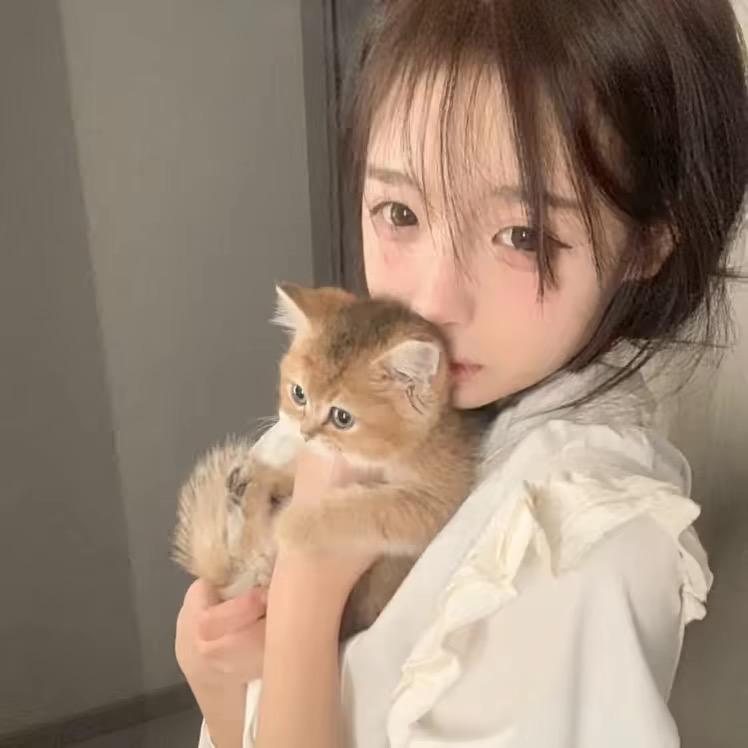 🐾