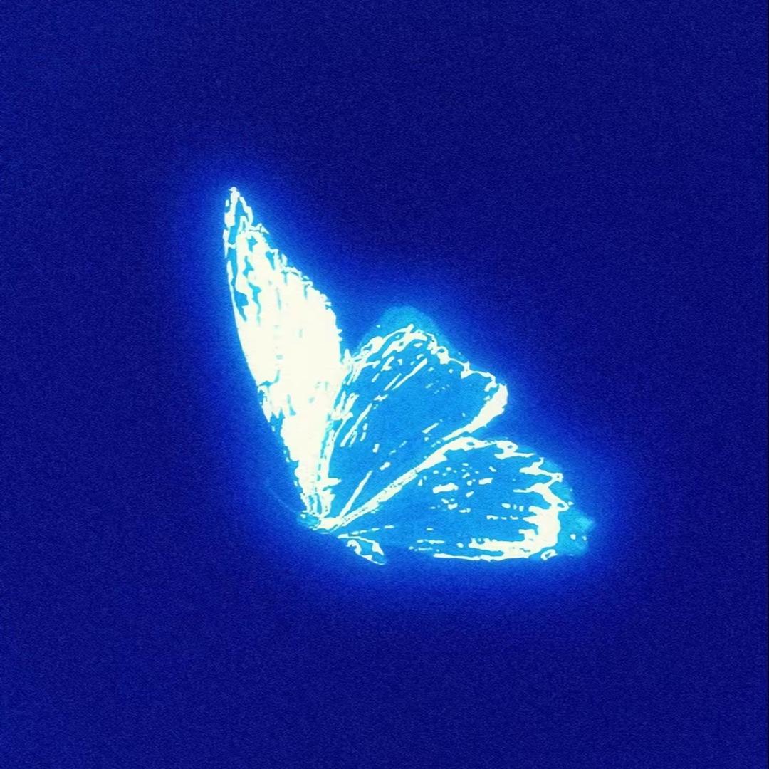 🐳🌟