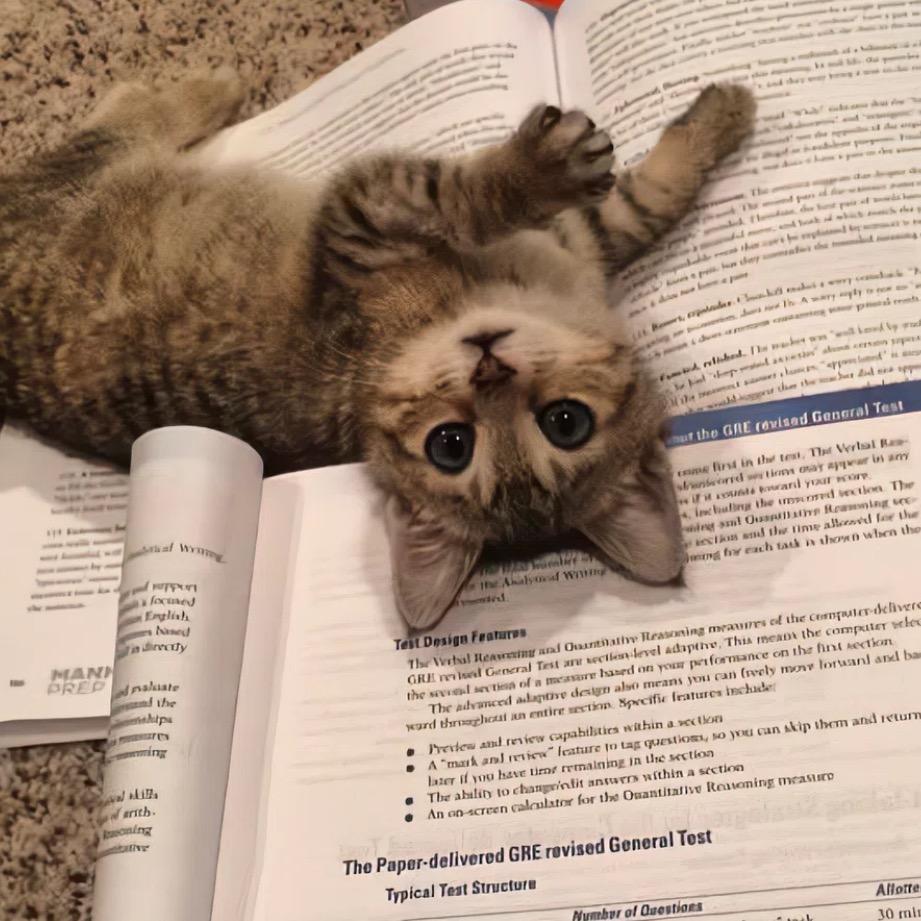 一个集美貌与才华于一身的女子