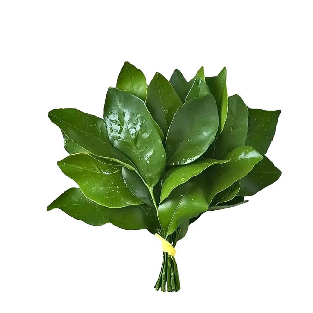 ￴￴￴￴ ￴地瓜