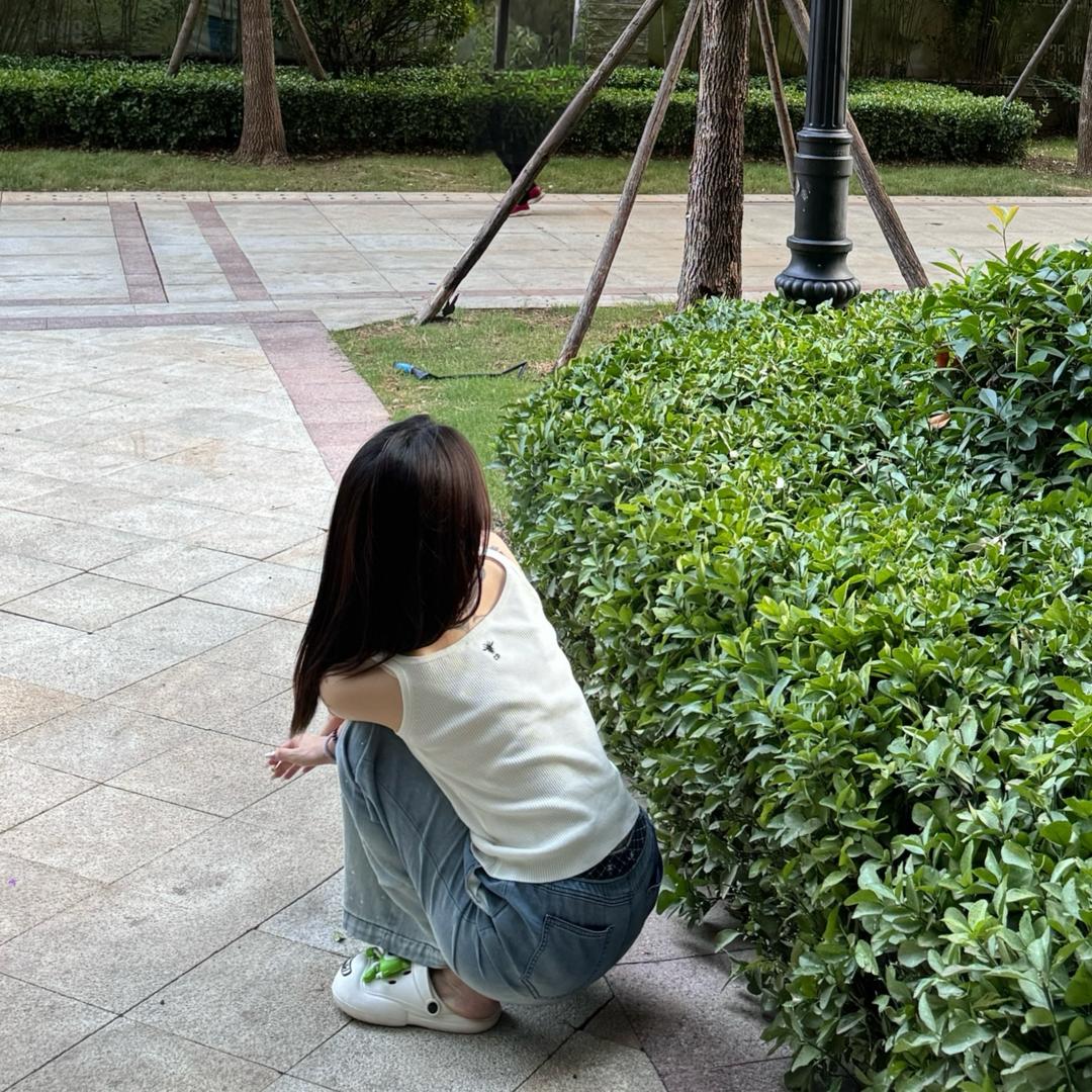 余余不是鱼