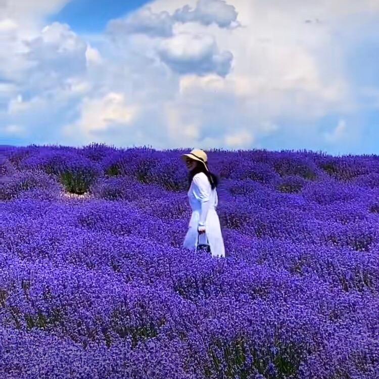 丽丽姐🎵