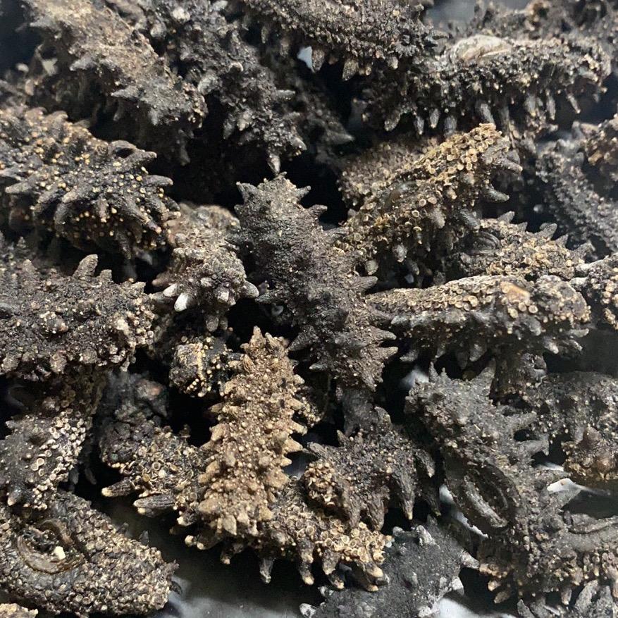 绥芬河市隆和俄货商品行