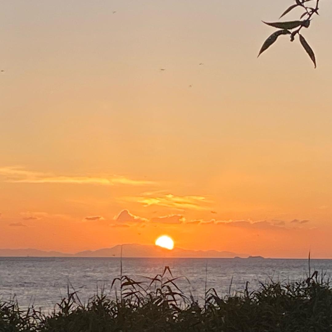 拉货又发不了财