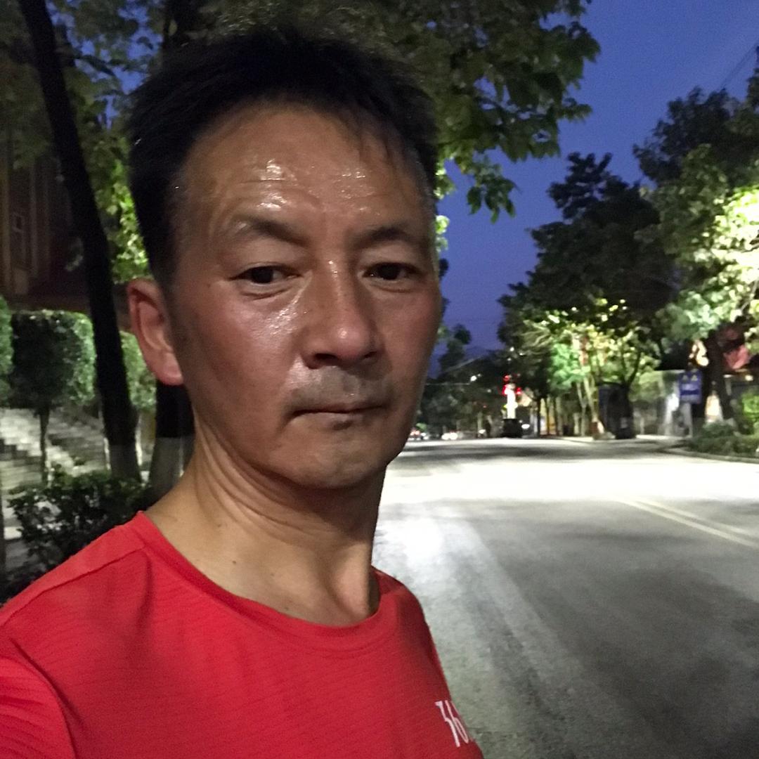 小白杨