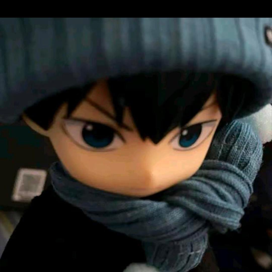 我家猫会后空翻（肖老板）