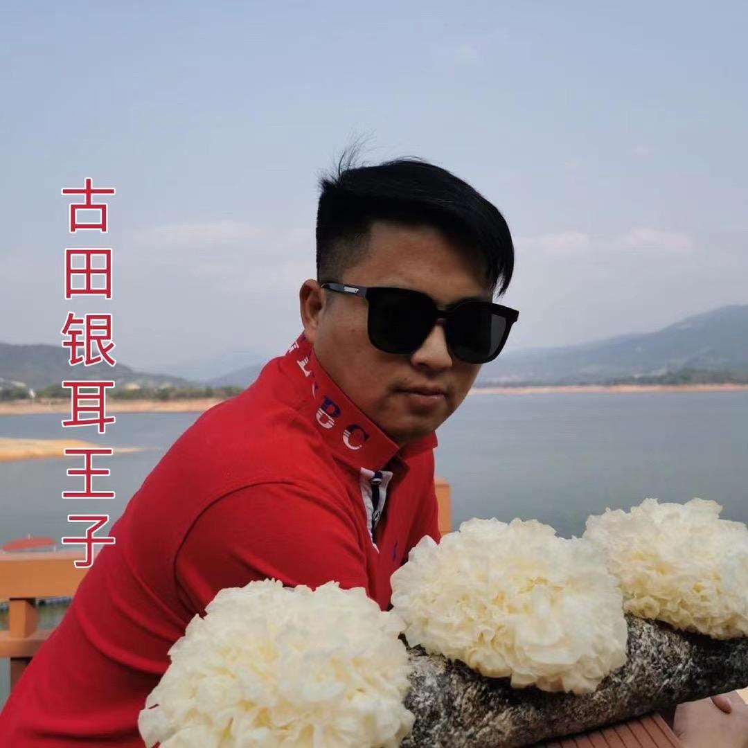 古田银耳王子-林伟