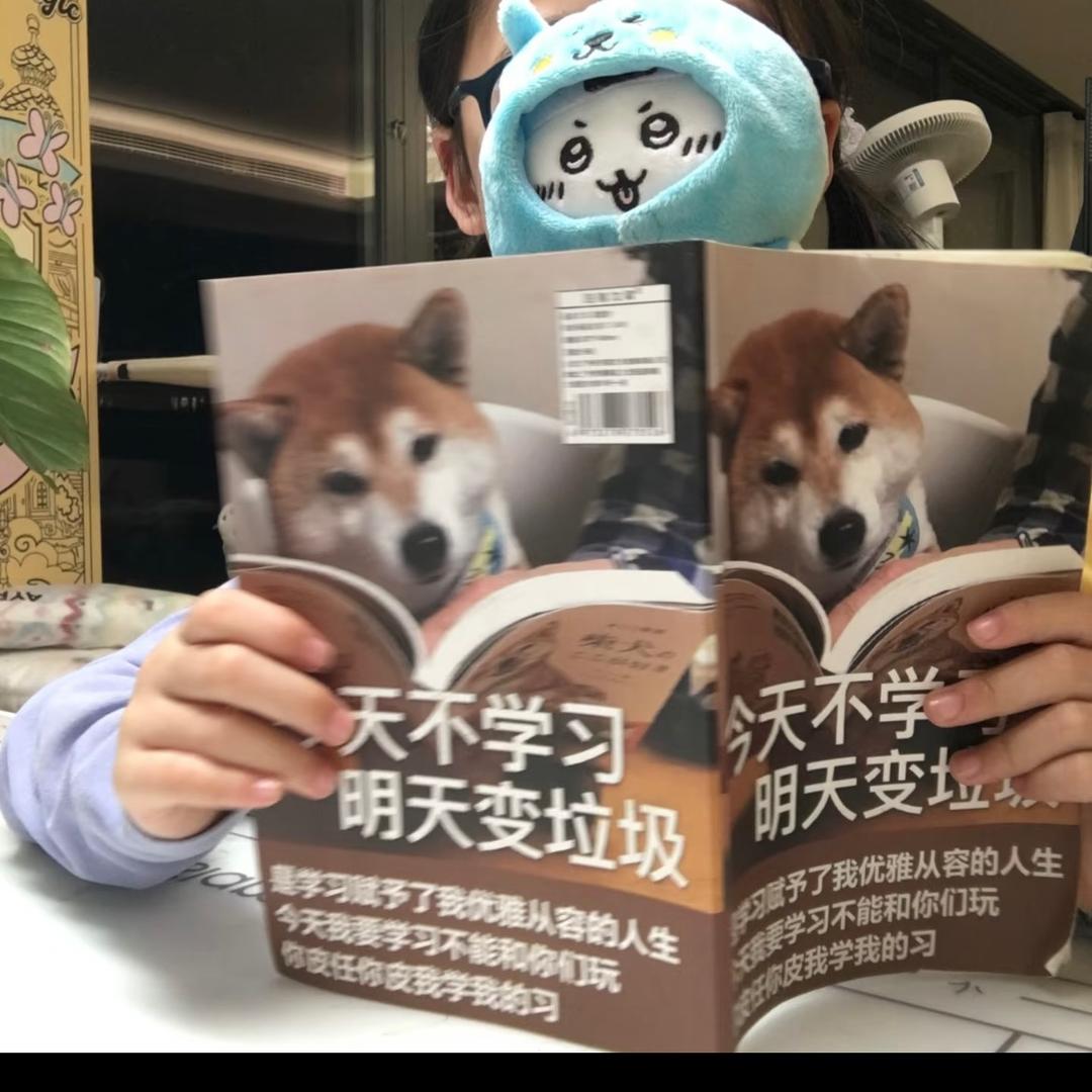 吨吨爱学习