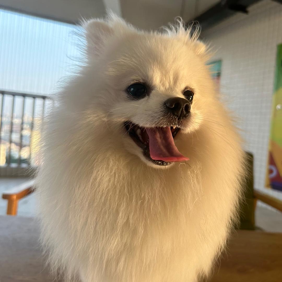 东莞新能源货车租赁～悦悦