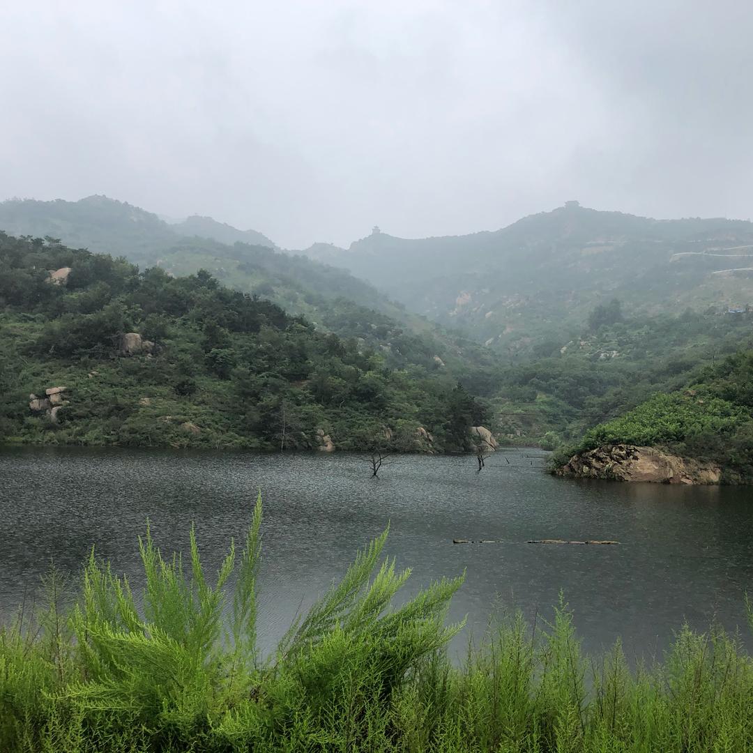 我在抖音混饭吃🌵