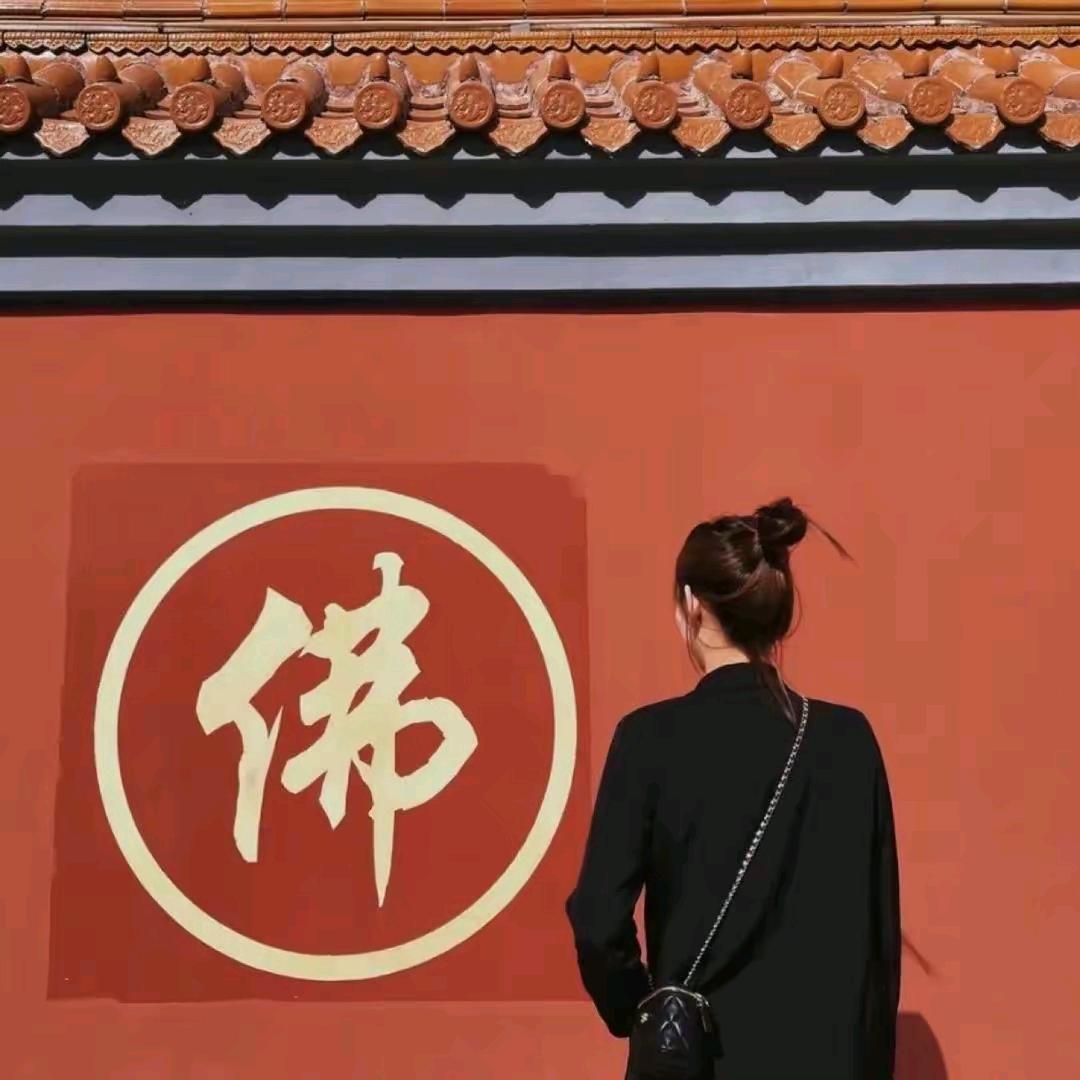 王道执法🙏