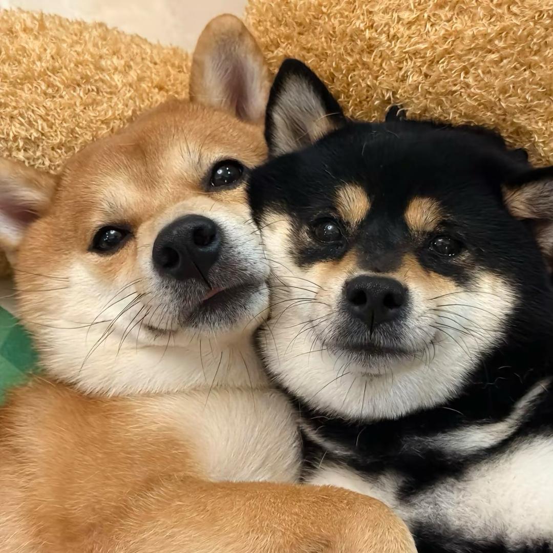 彦🌧️