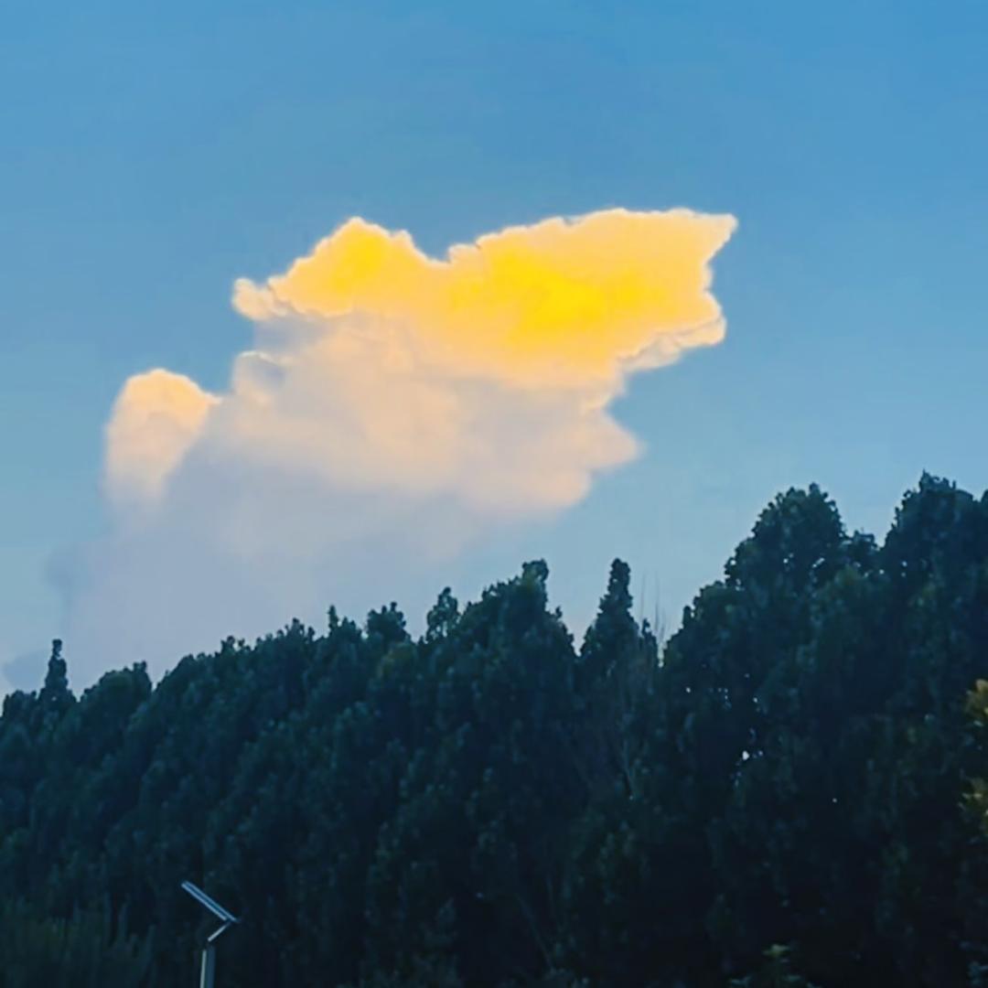 泰承房产