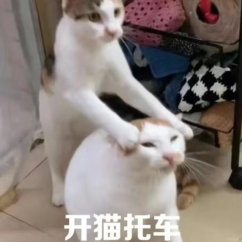 泪水打湿麦当劳