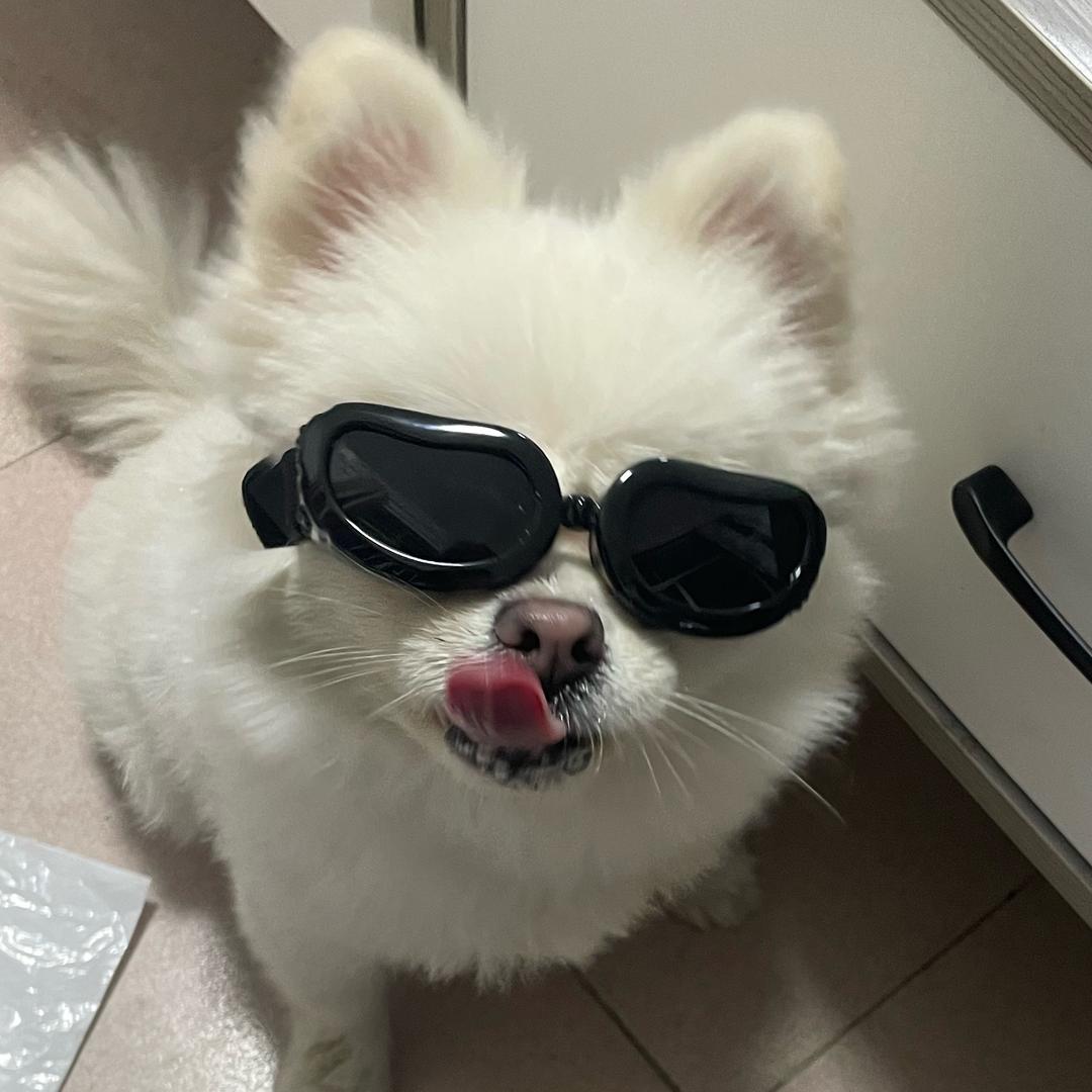 瘦嘟嘟和胖贝利