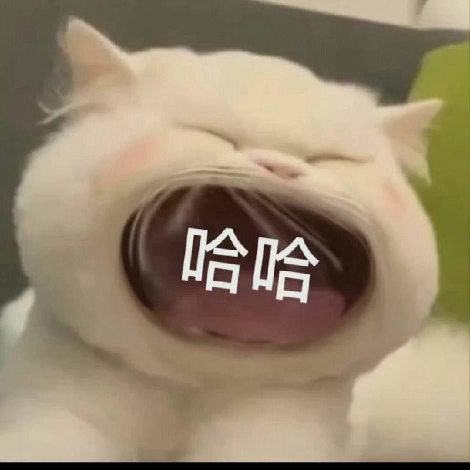沃野布吉岛