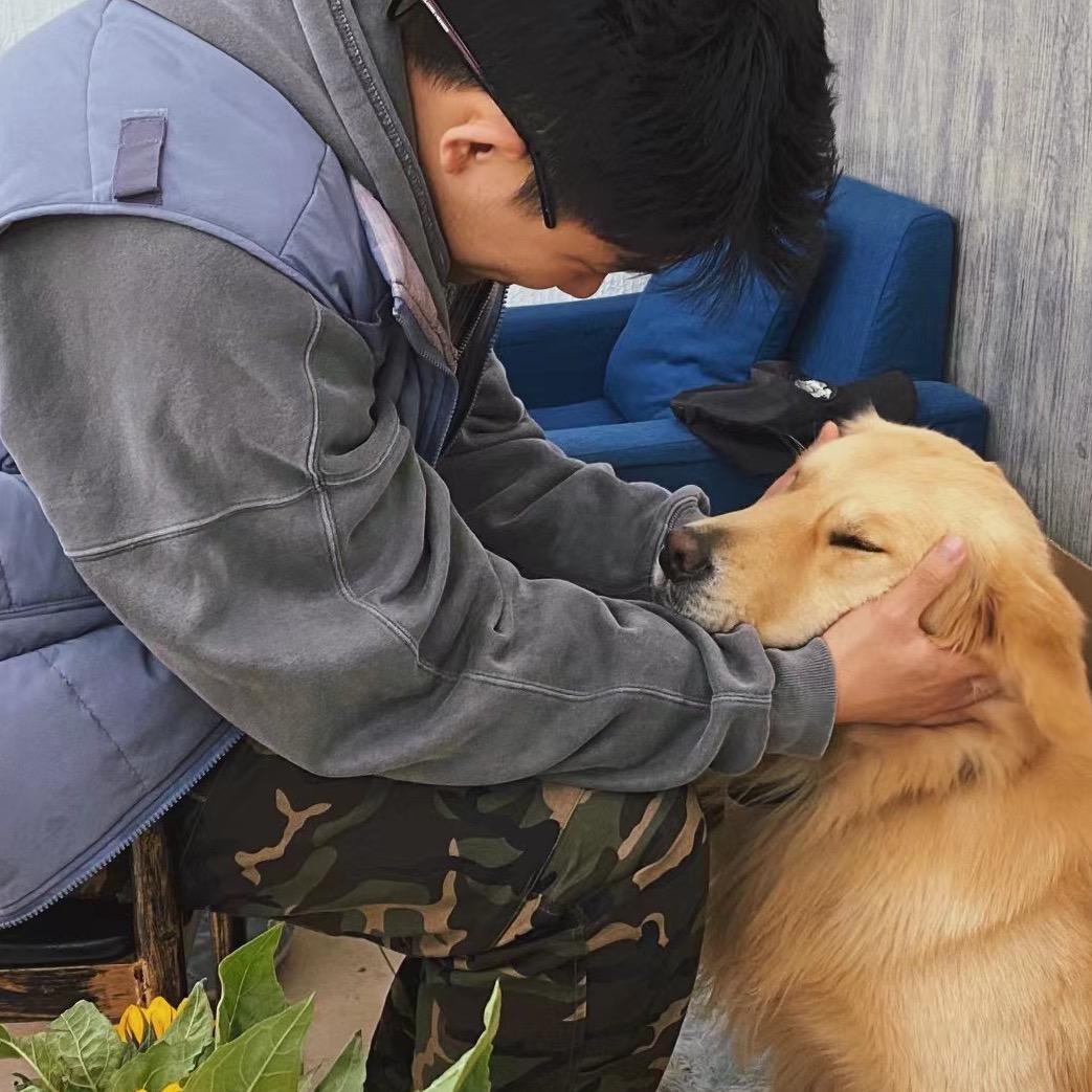 豆腐不白