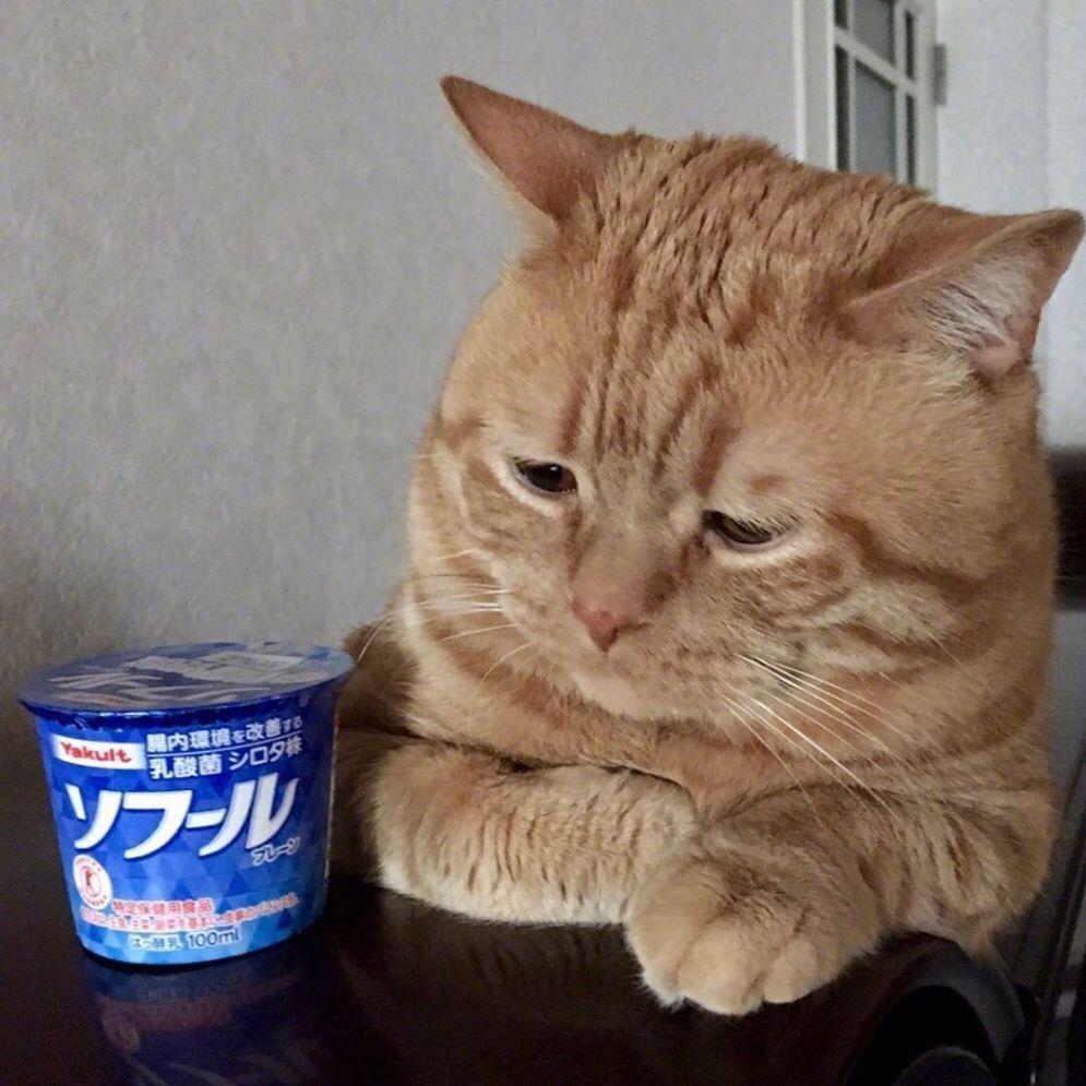 你的快乐