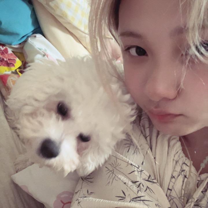 小白鹿🦌😜