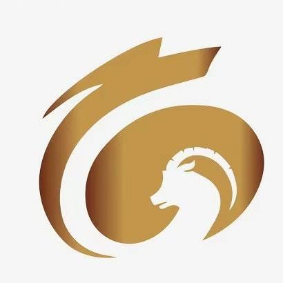 龙飞羊消防工程