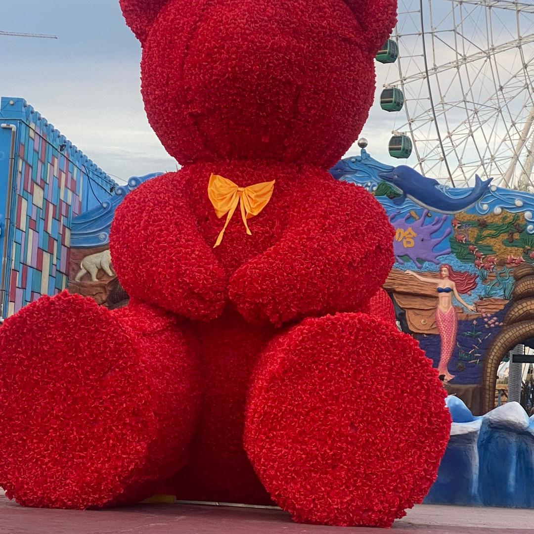 逍遥派烈焰蓝柑