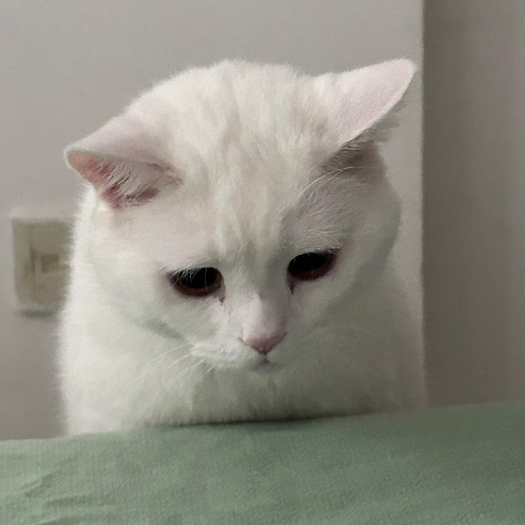 半斤…
