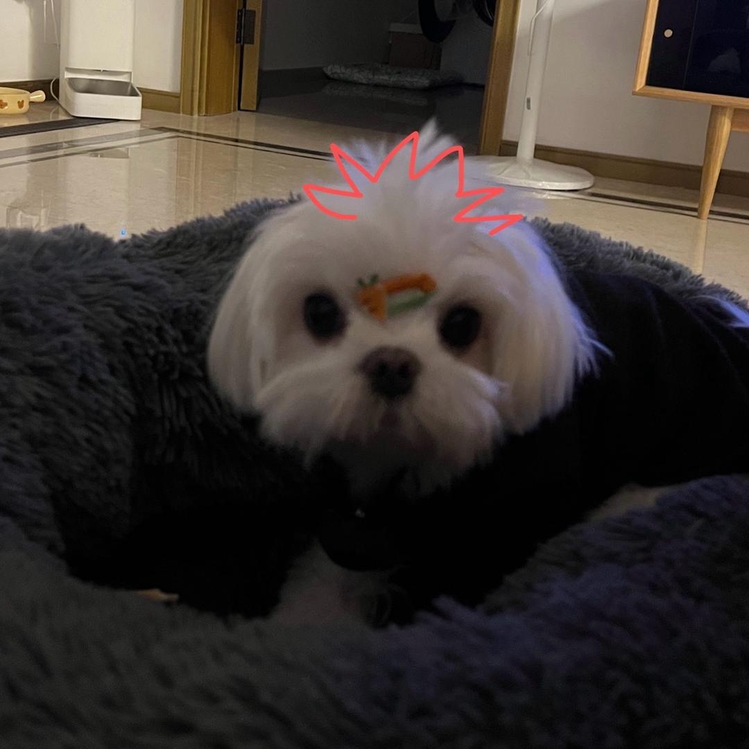 早起困难的陈女士