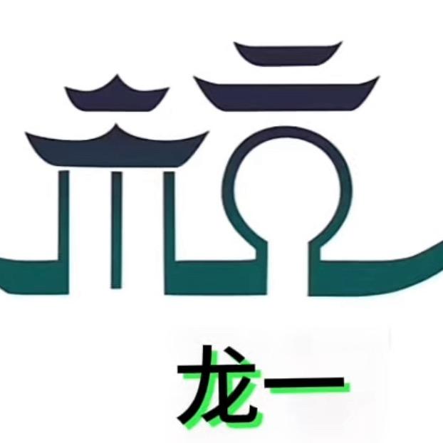 杭州龙一