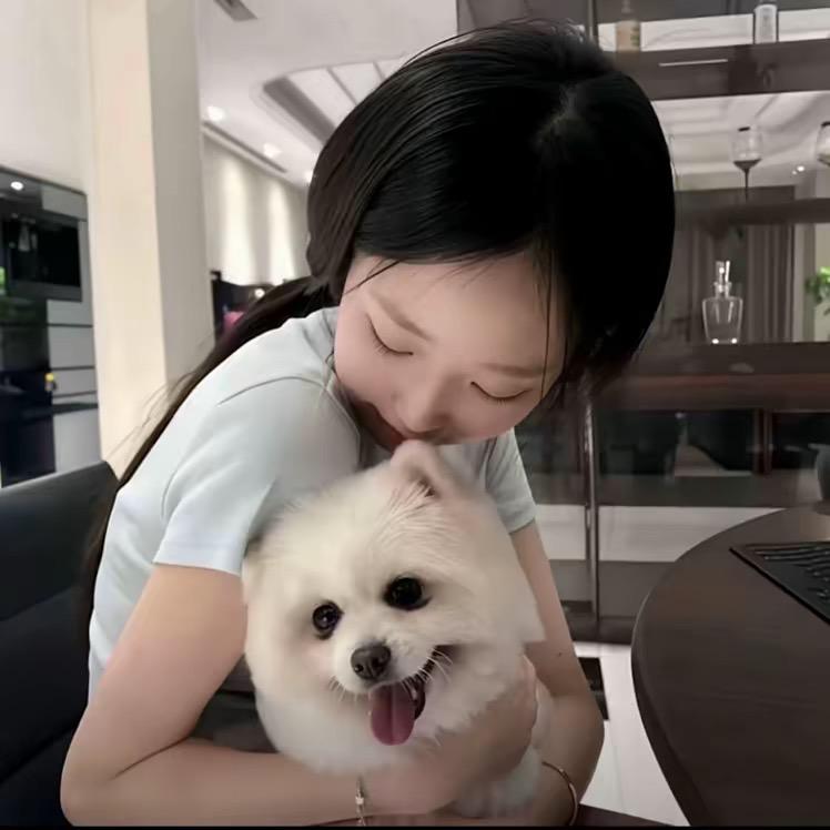 ︋︋︋︋︋   ㅤ ㅤㅤㅤㅤ