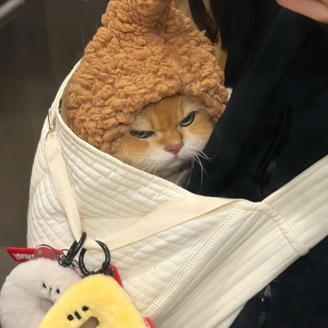 韭菜王中王